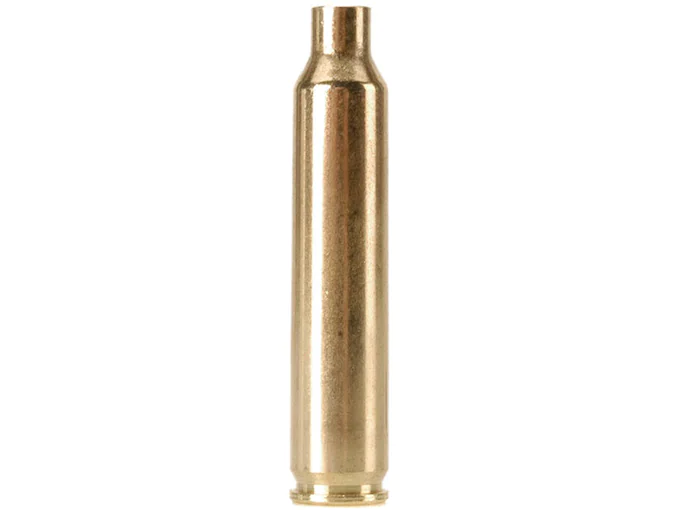 Dogtown Brass 204 Ruger