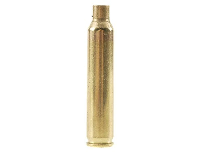 Remington Brass 204 Ruger Bag of 100