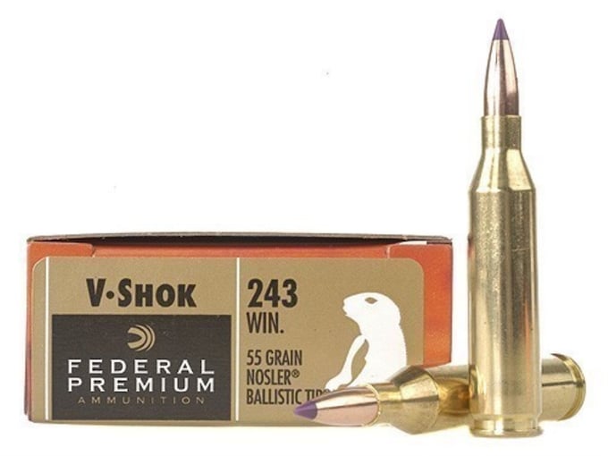 Federal Premium Varmint Ammunition 243 Winchester 55 Grain Nosler Ballistic Tip Box of 20
