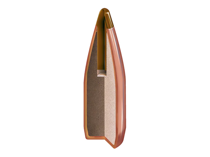 86243_NTX_Bullet_Cutaway.webp