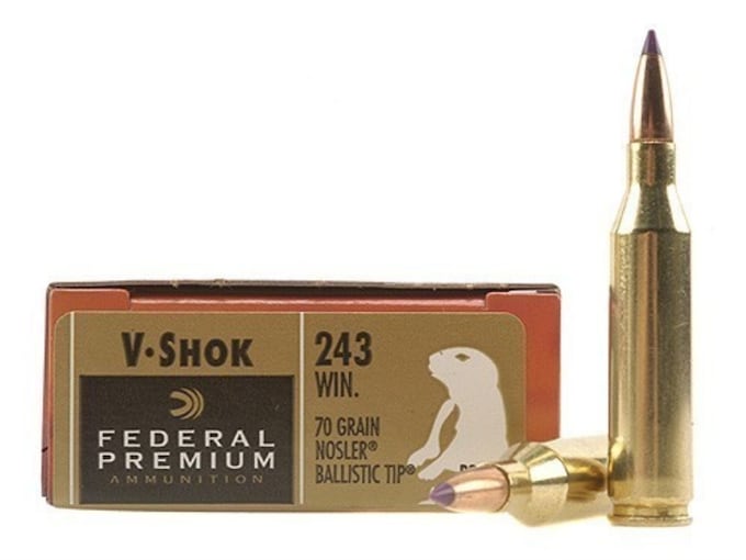 Federal Premium Varmint Ammunition 243 Winchester 70 Grain Nosler Ballistic Tip Box of 20