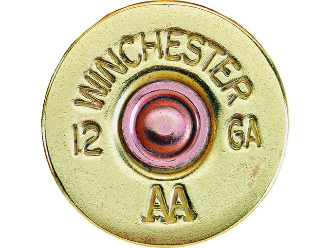 896864.jpg