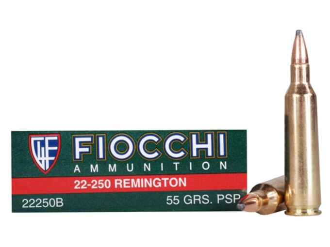 Fiocchi Shooting Dynamics Ammunition 22-250 Remington 55 Grain Pointed Soft Point Box of 20