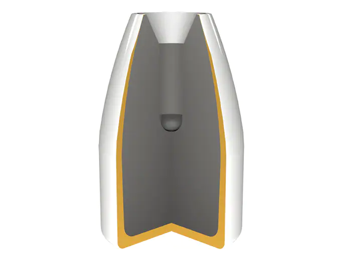 Silver-Tip-Hollow-Point.webp