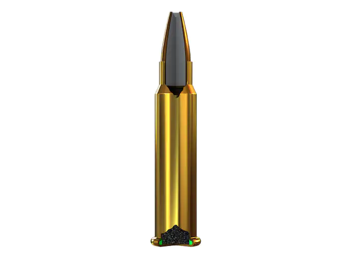 x17hmr1_loaded_round_cutaway.webp