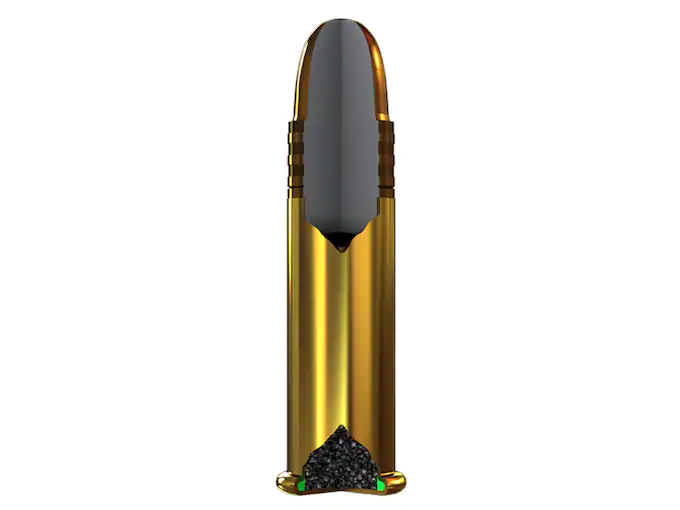 x22lr_loaded_round_cutaway.webp