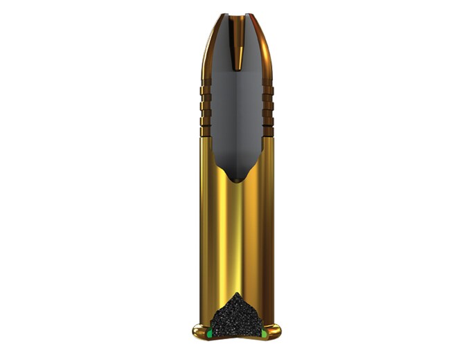 x22lrh_loaded_round_cutaway.jpg